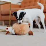 A dog nosing a plush toy: the product in the sample pet shop’s campaign.